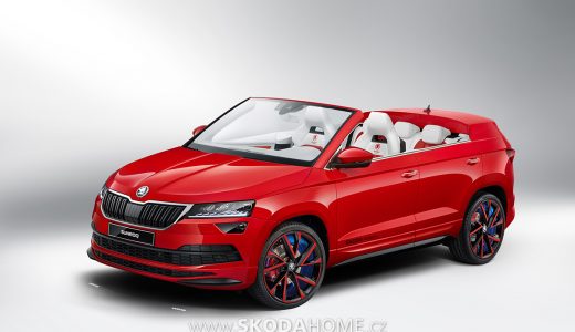 SKODA-SUNROQ-01