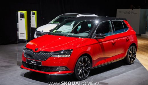 0045_FABIA_MONTE_CARLO