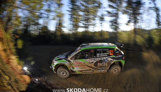 skoda-fabia-r5-chile-2019-10