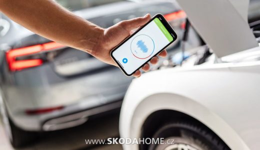6596952_skoda-mobil-v0